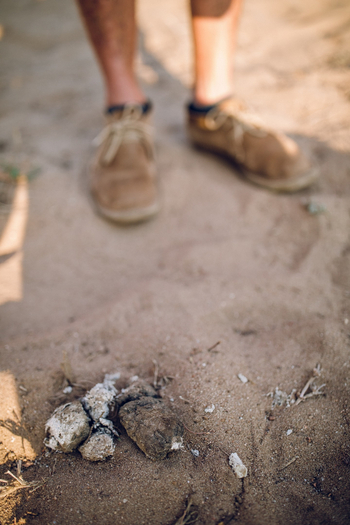 Classic Zambia Safaris Classic Zambia Safaris: Walking Safari