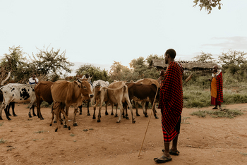 Elewana Tarangire Treetops: Dorfbesuche