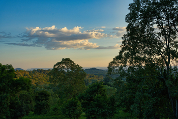 Gibb's Farm: Landschaft und Himmel