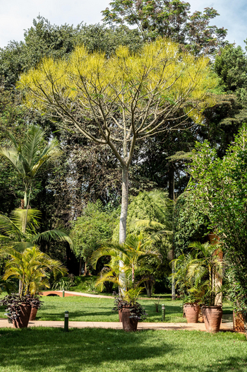 House of Waine: Garten