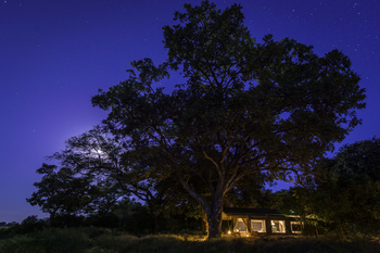 John's Camp John's Camp: Gästezelt - Außenansicht