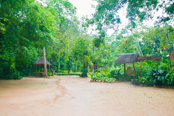 Kibale Forest Camp: Garten