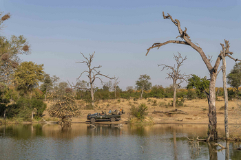 Notten's Bush Camp: Gäste im Safari-Fahrzeug am Wasserloch