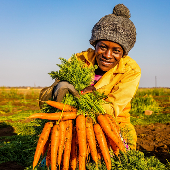 Onguma Reserve: Oshivelo Farming Project