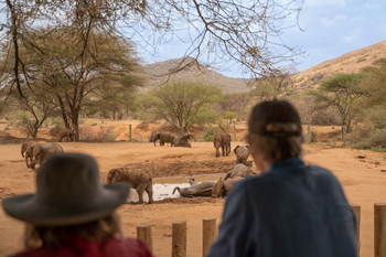 Reteti Elephant Sanctuary Reteti Elephant Sanctuary: Schlammbad