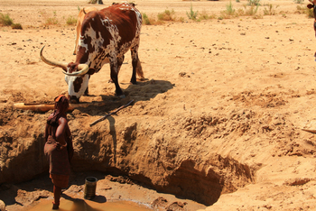 Sanctuary Okahirongo River Camp Sanctuary Okahirongo River Camp: No Title