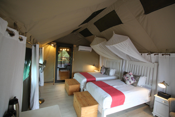 Tlouwana Camp Tlouwana Camp: Gästezimmer mit zwei Betten