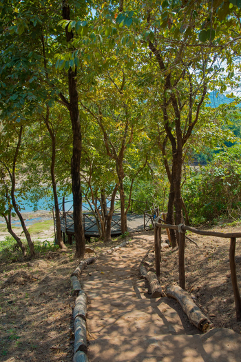 Tongole Wilderness Lodge: Weg durchs Gelände