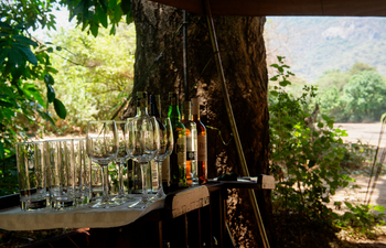 Wayo Manyara Green Camp: Bar