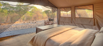 andBeyond Savute under Canvas andBeyond Savute under Canvas: Doppelbett