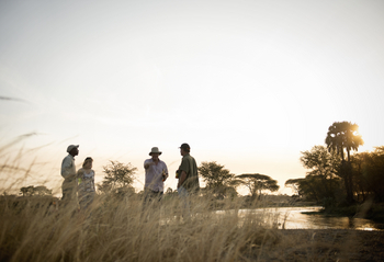 Chada Katavi Camp: Walking Safari