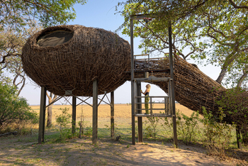 Chisa Busanga Camp Chisa Busanga Camp: Nest