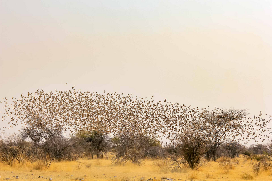 Etosha Oberland Lodge