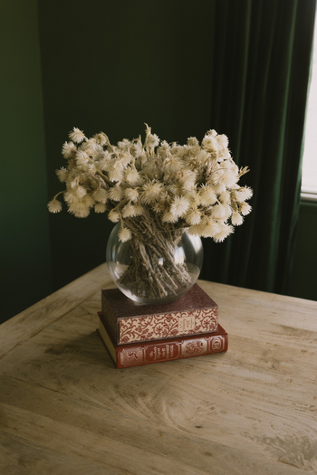 Fancy Fritz B&B: Getrocknete Blumen