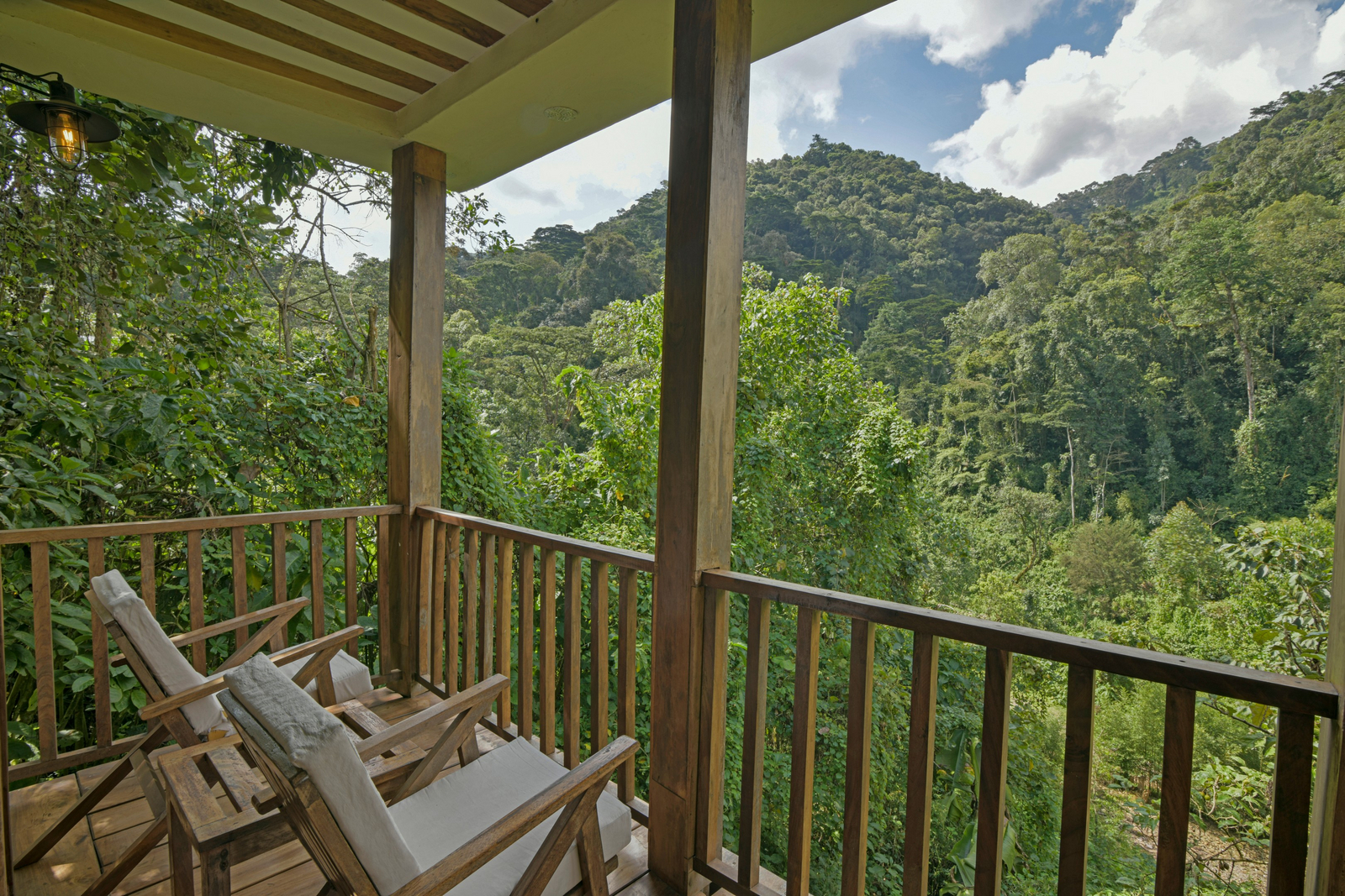 Four Gorillas Lodge Four Gorillas Lodge: Blick auf den Regenwald