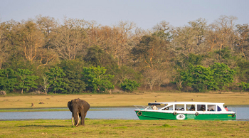 Kabini River Lodge: Ausflug auf dem Kabini-Reservoir