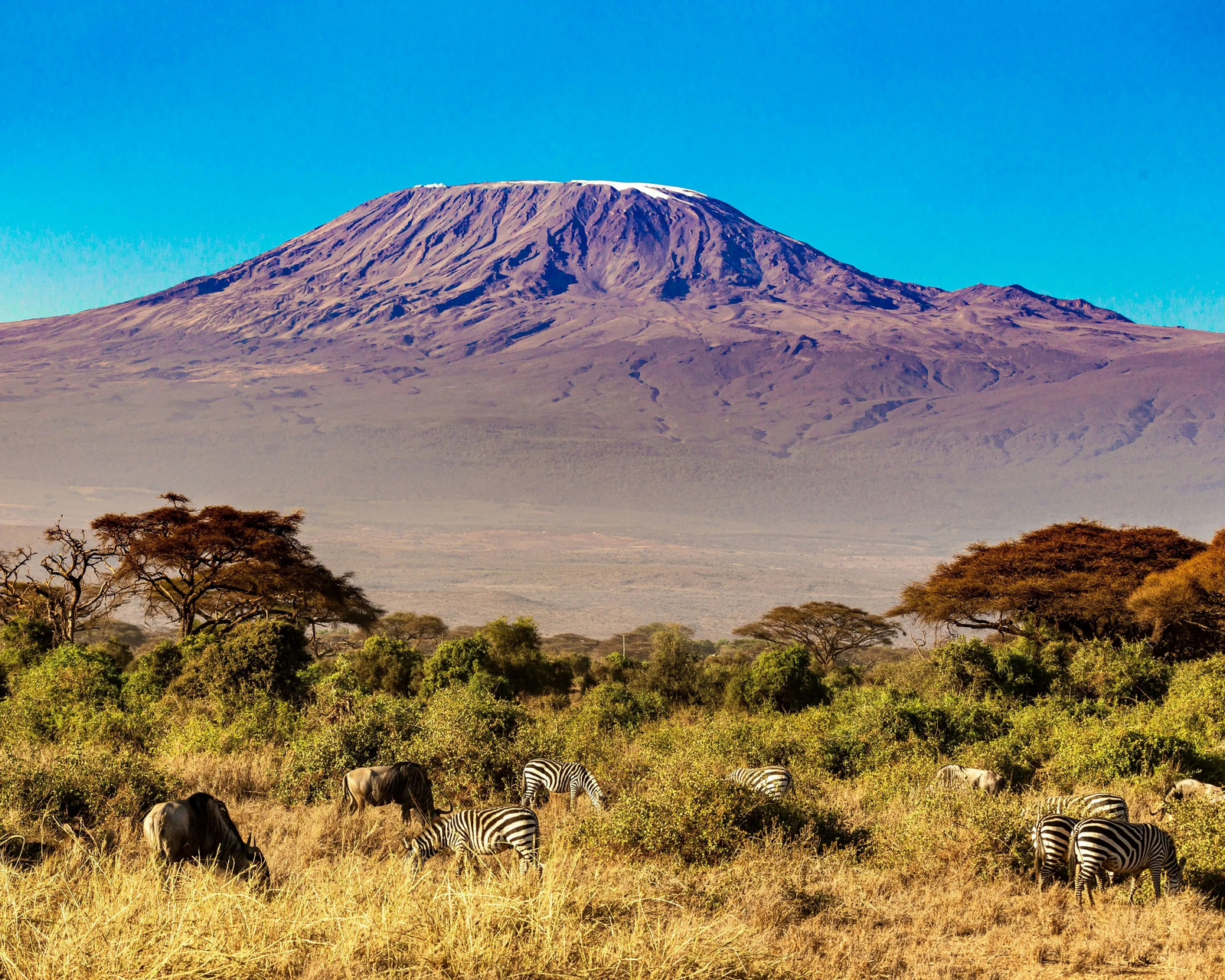 Kitirua Plains Lodge Kitirua Plains Lodge: Landschaft am Kilimanjaro