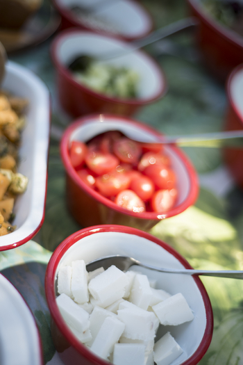 Beagle Expeditions: Salat