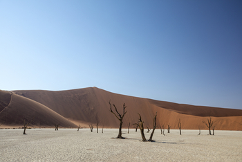 Kwessi Dunes: Deadvlei am Tag