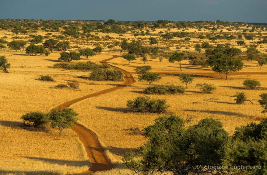 Bagatelle Kalahari Game Ranch