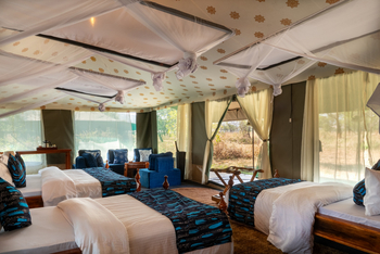 Naona Moru Camp: Blau-weißer Stil