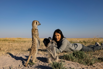 Camp Kalahari Camp Kalahari: Begegnung mit Erdmännchen