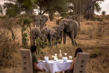 Nimali Tarangire Camp: Bush Lunch