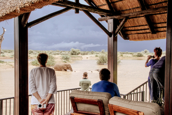 Old Traders Lodge: Elefant beim Baden