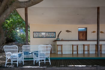 Pumulani Lodge: Bar