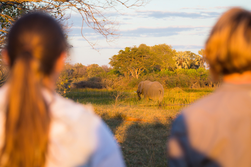 Sango Safari Camp