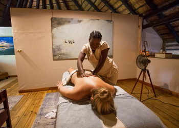 Selinda Camp: Wellness