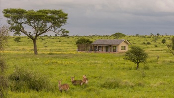 Serengeti Sametu Camp: Umgebung