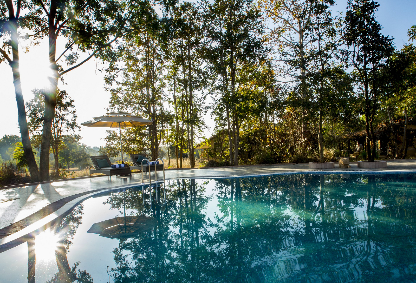 Singinawa Jungle Lodge Singinawa Jungle Lodge: Swimming Pool