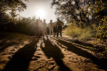 Singita Castleton: Gäste bei goldenem Bush Walk