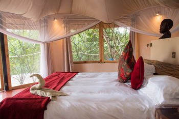 Tongole Wilderness Lodge: Doppelbett mit Moskitonetz