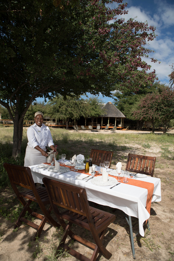 Dinaka Lodge: Lunch unter einem Baum