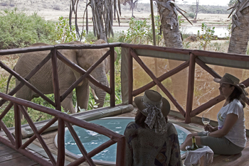 Elephant Bedroom Camp: Elefant am Zelt