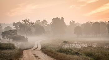 Flame of the Forest Safari Lodge: Morgenstimmung