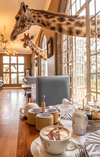 Giraffe Manor: Giraffenerlebnis