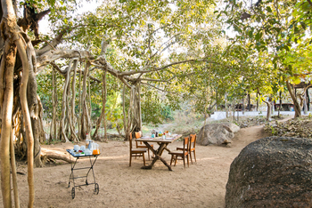 Jamtara Wilderness Camp: Lunch am Banyan Tree