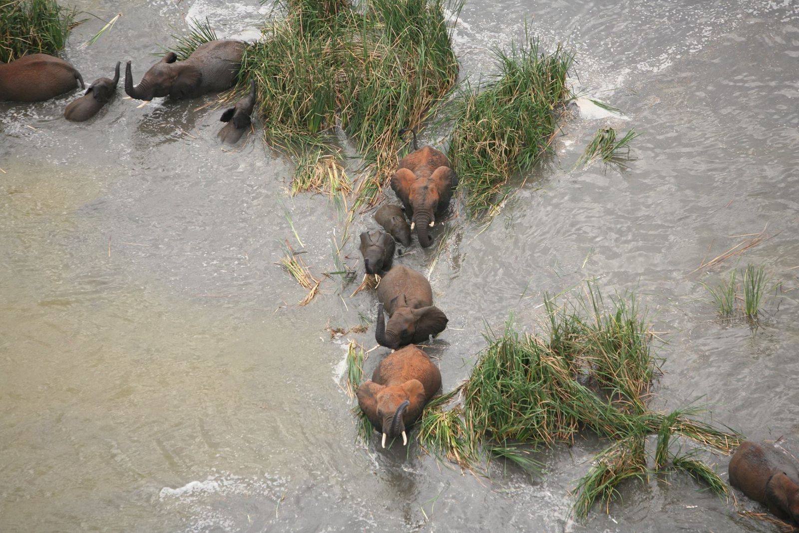 Finch Hatton's Lodge Finch Hatton's Lodge
