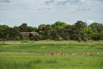 Katavi Wildlife Camp: Landschaft