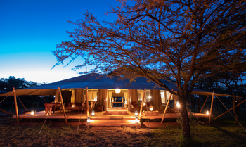 Mara Expedition Camp: Frontansicht