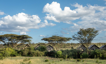Mara Nyika Camp: Lage unter Akazien