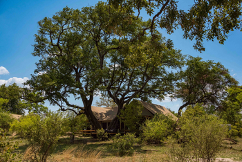 Mpala Jena Camp: Suite unter Bäumen