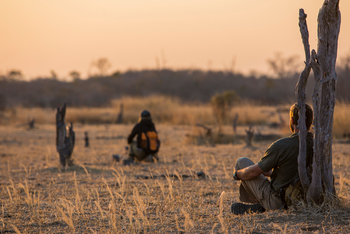 Mwaleshi Camp Mwaleshi Camp: Walking Break