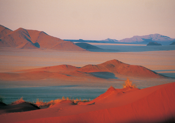 Namib Rand Nature Reserve: Wechselspiel der langen Schatten