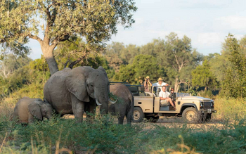 Nkonzi Bush Camp: Elefantenfamilie