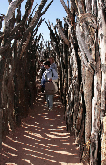 Otjiwa Mountain Lodge: Zugang zum Beobachtungsplatz