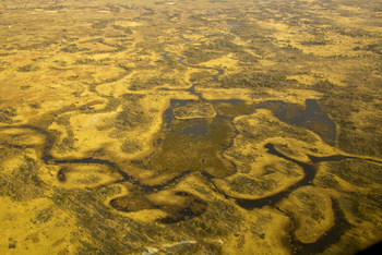 Selinda Explorers Camp Selinda Explorers Camp: Spillway Luftbild